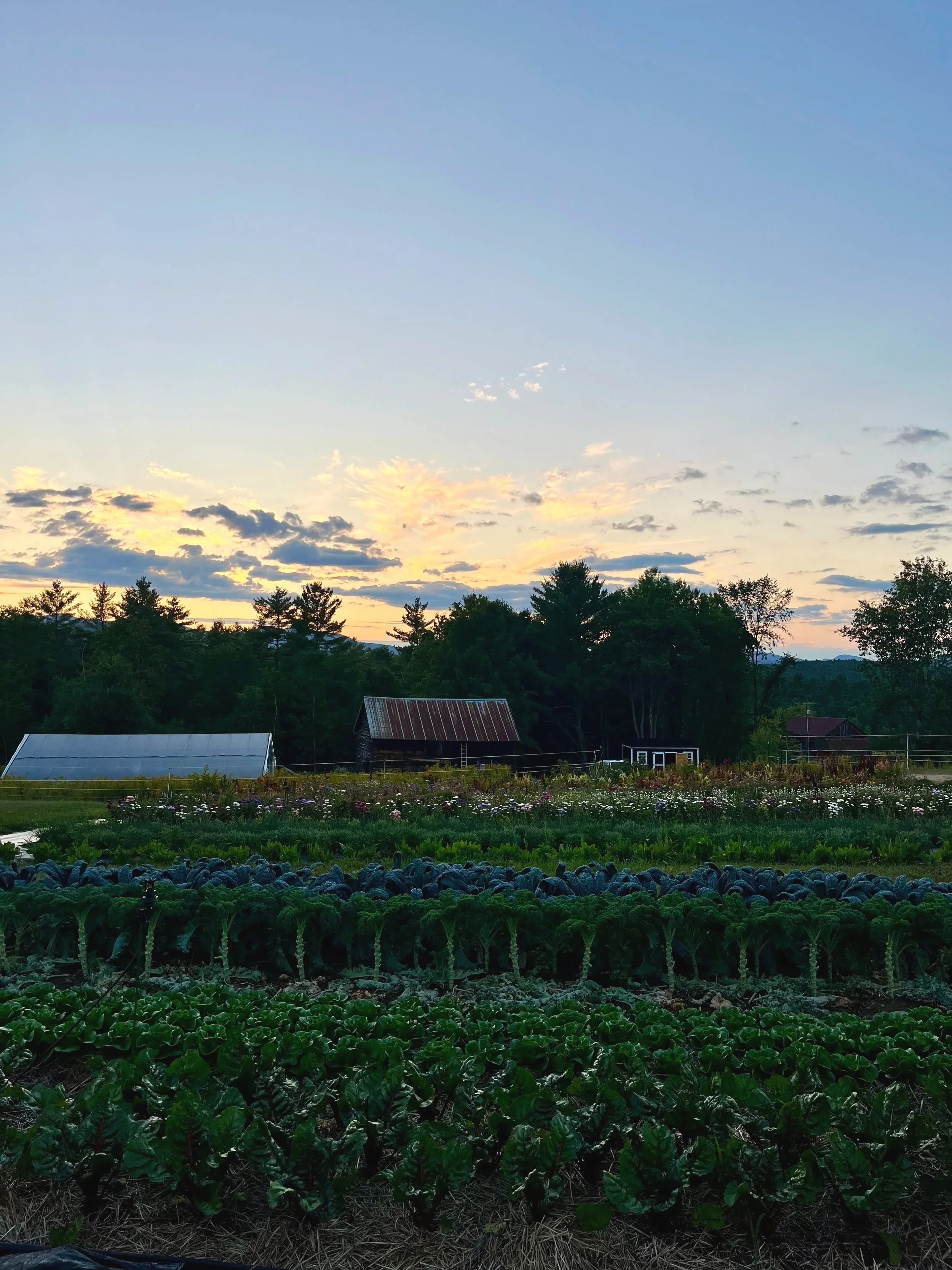 The Meadow Farmstead